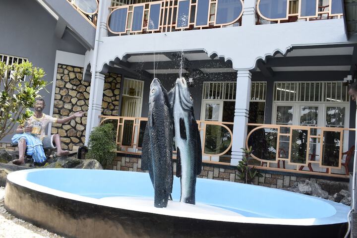 Hotel Exterior 76 of 97