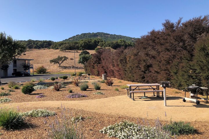 BBQ/picnic area
