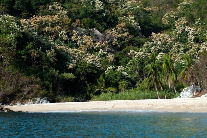 Beach 12 of 18