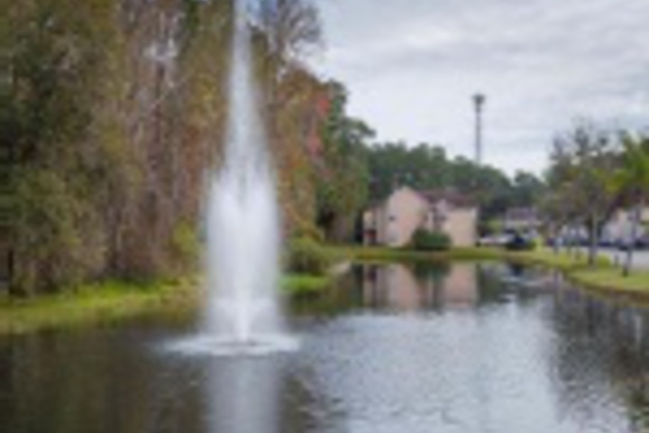 Property Grounds 13 of 24