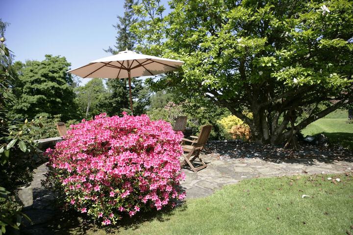 Terrace/Patio 90 of 98