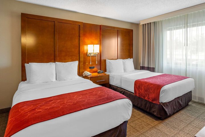 1 King Bed Suite (2 of 14)