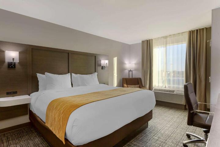 1 King Bed