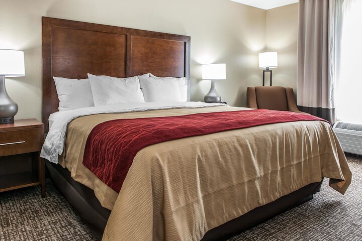1 King Bed (2 of 9)