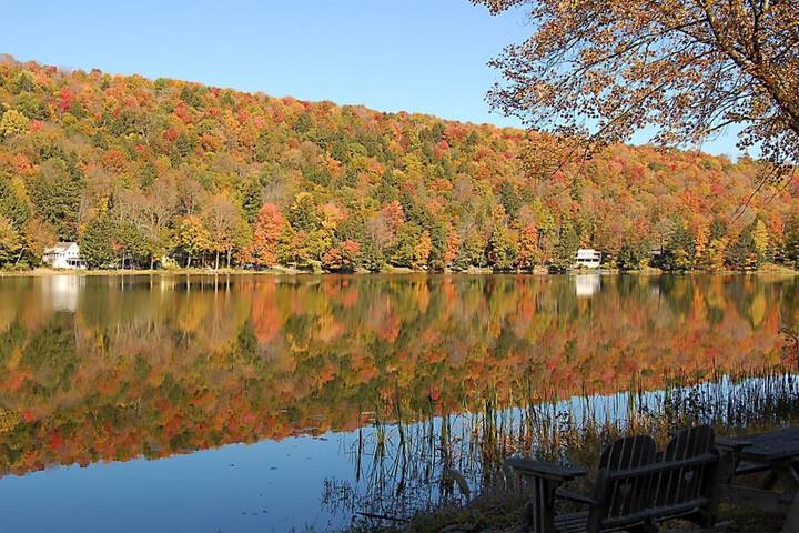 Property Grounds 56 of 62