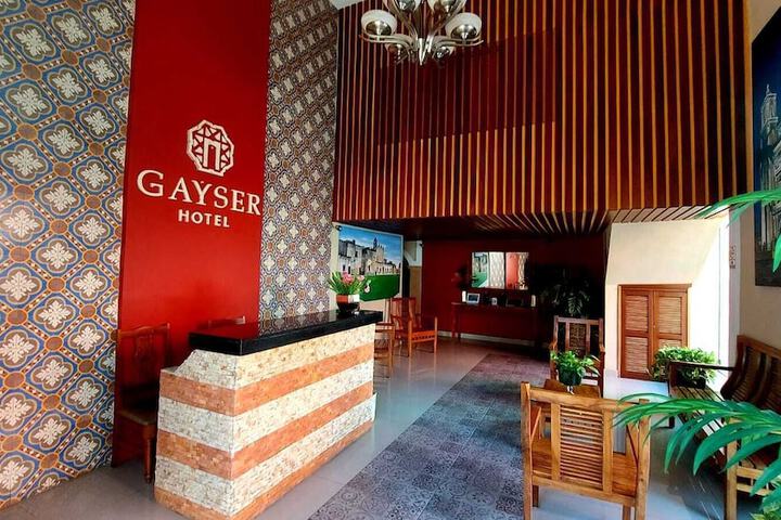 Image of Hotel Gayser