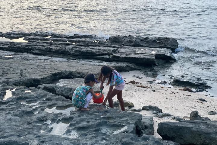 Childrens Activities 7 of 33