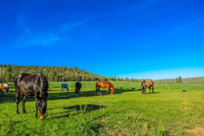 Property Grounds 20 of 25