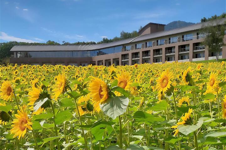 Furano 寶亭 distillate