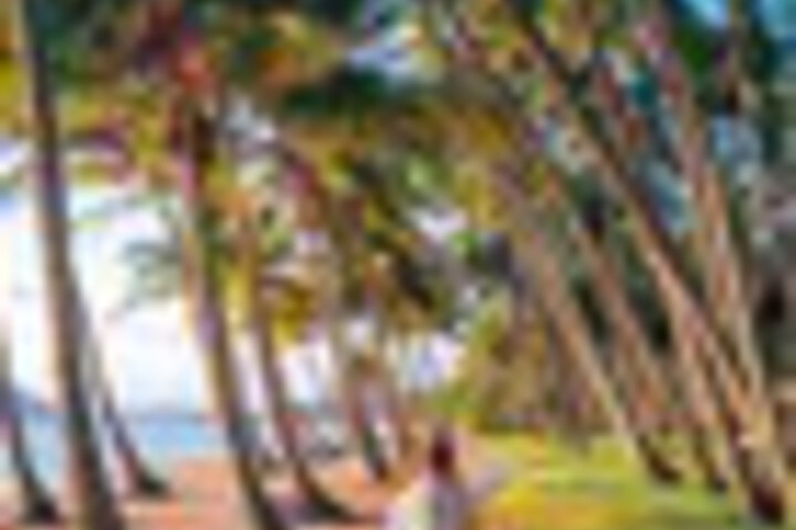 Beach 71 of 84