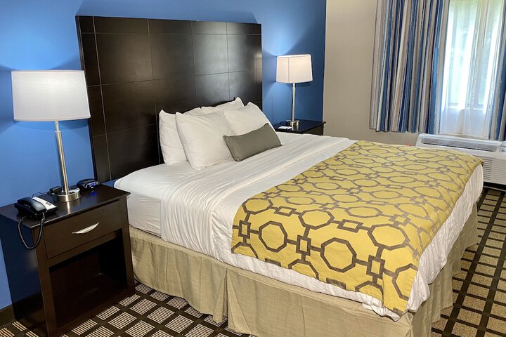1 King Bed (9 of 11)