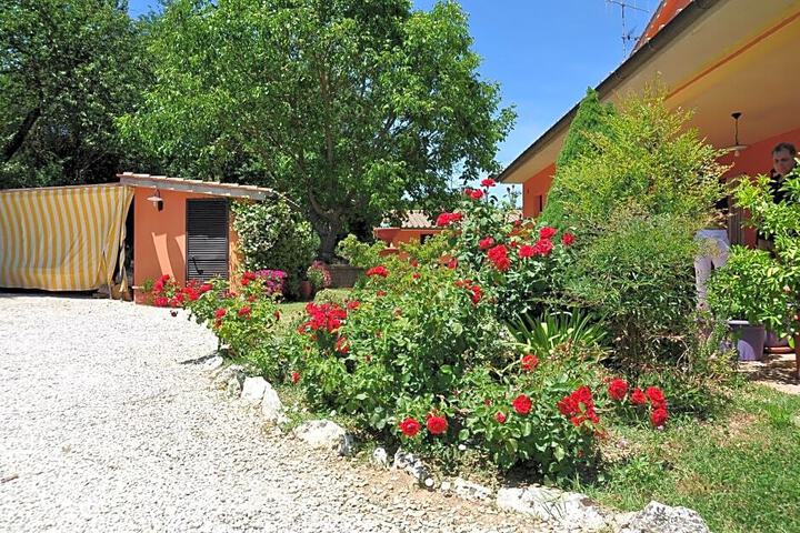 Photo 28