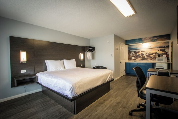 1 King Bed Pet Friendly Accessible (32 of 90)