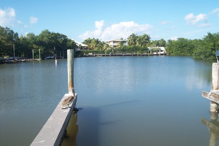 Dock