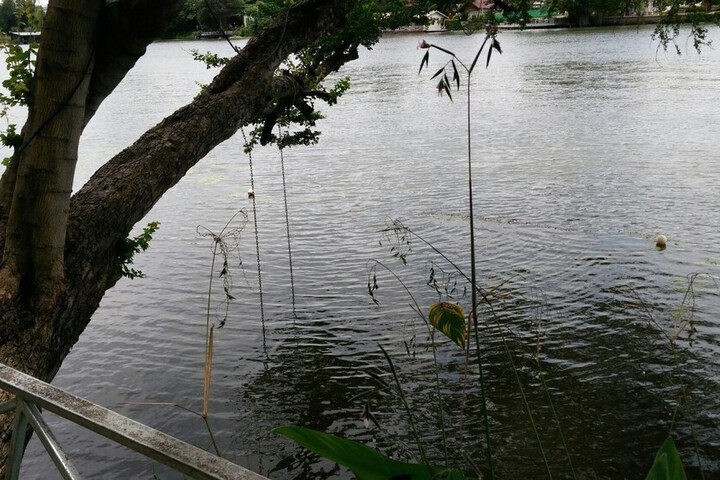 Property Grounds 56 of 83
