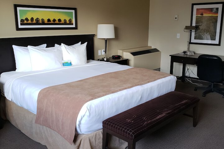 Room 14 of 44