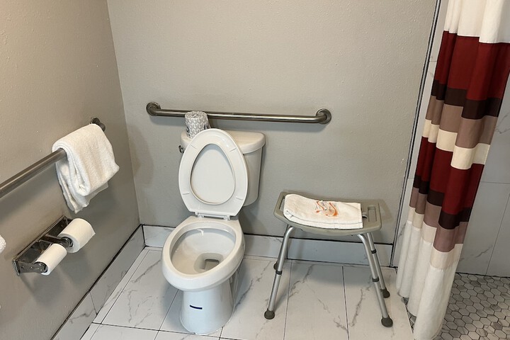Deluxe King Bed Accessible (8 of 8)
