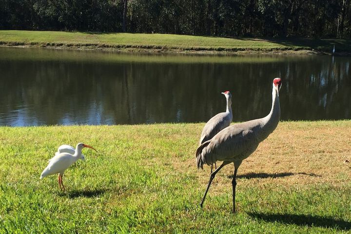 Property Grounds 34 of 41