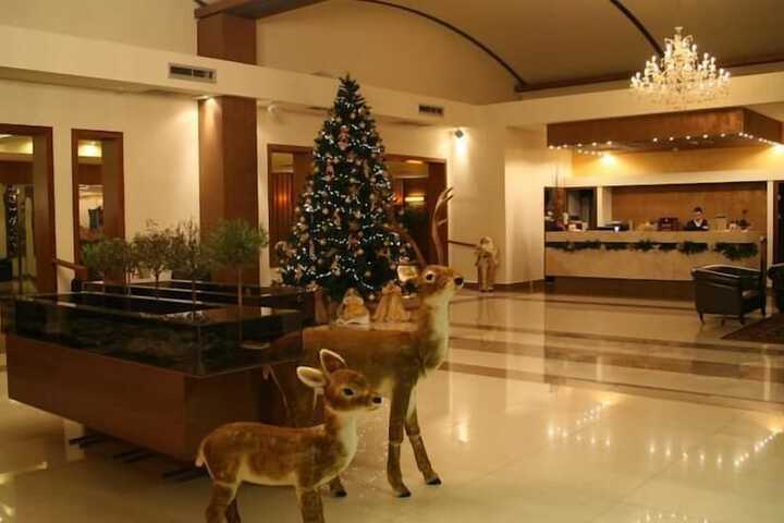Lobby Photos