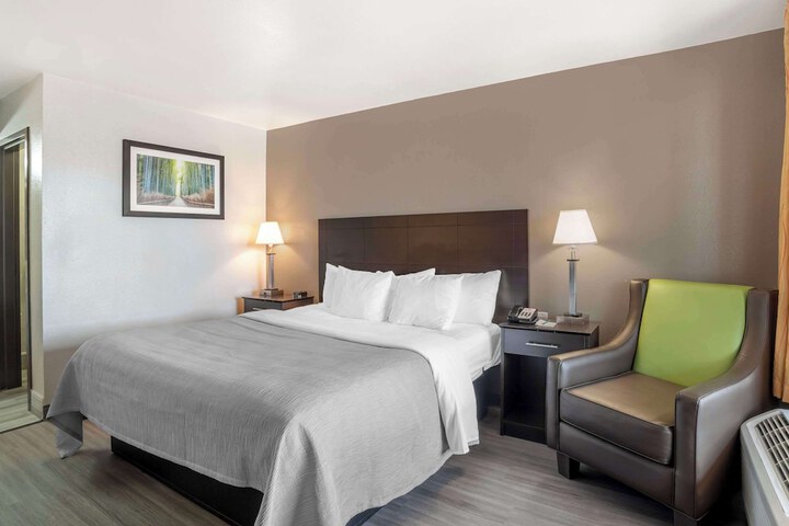 1 King Bed (8 of 11)