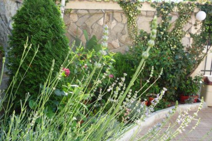 Family Hotel Breza