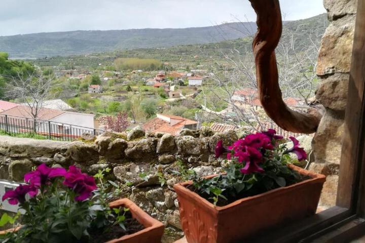 La Casita del Tejo