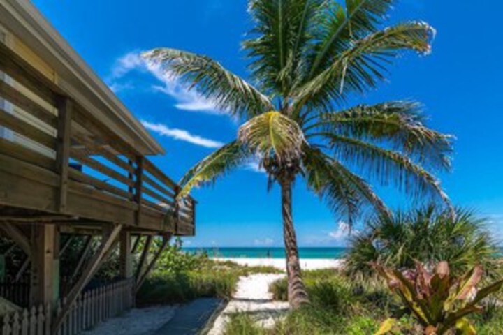 Beach 21 of 59
