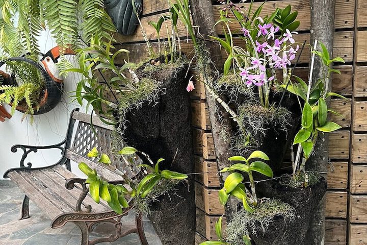 Terrace/Patio 22 of 44