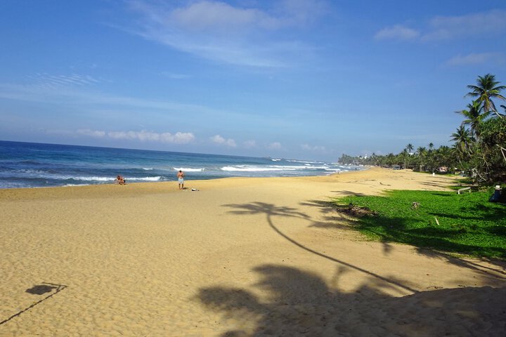 Beach 184 of 221