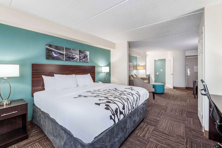 1 King Bed (7 of 10)