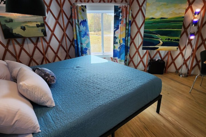 Room 25 of 313