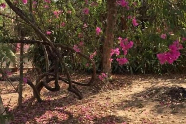 Property Grounds 20 of 22