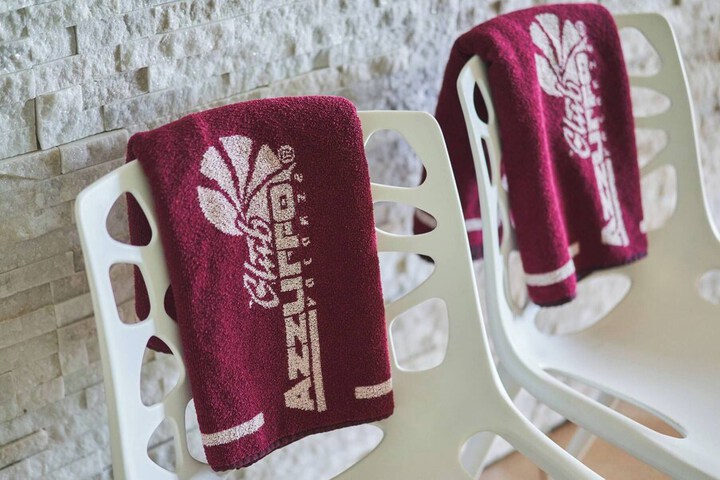 Wellness Treatments