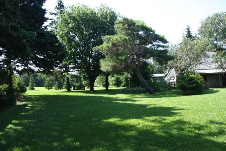 Property Grounds 6 of 11