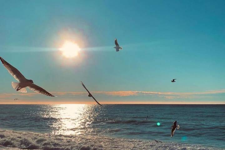 Beach 79 of 91