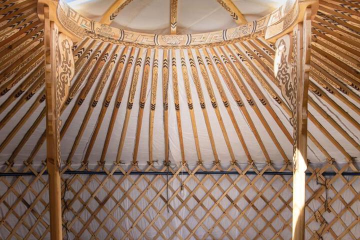 General 16 of 38