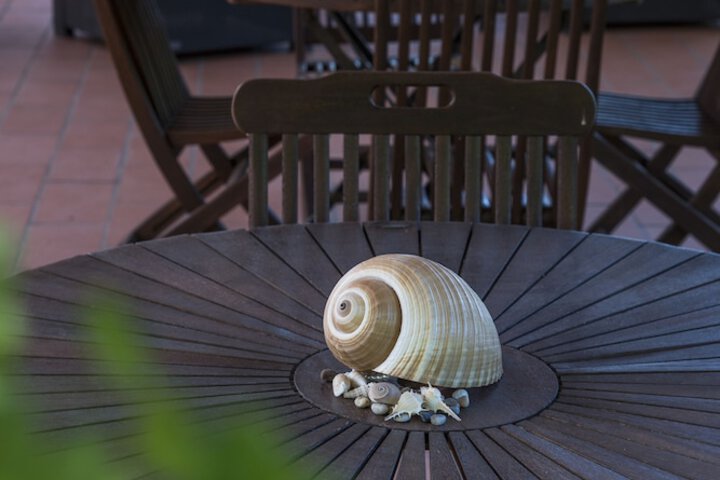 Terrace/Patio 37 of 43