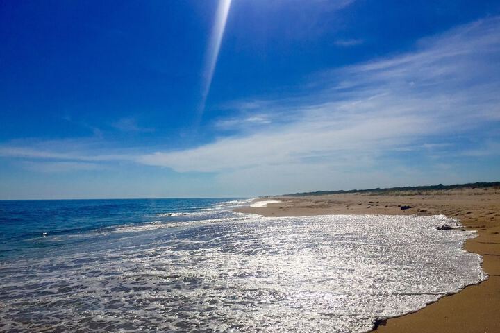 Beach 141 of 152