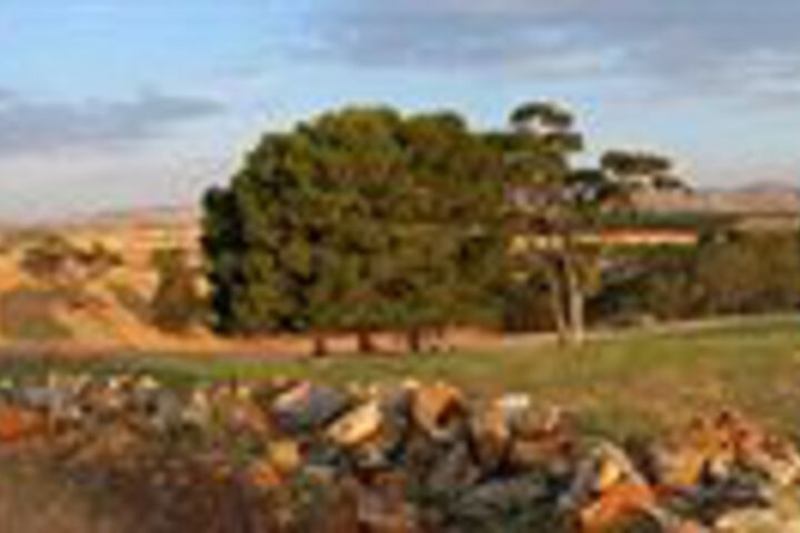 Property Grounds 52 of 67