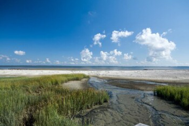 Beach 4 of 38