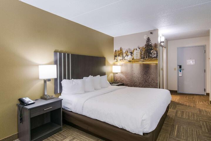 1 King Bed (15 of 17)