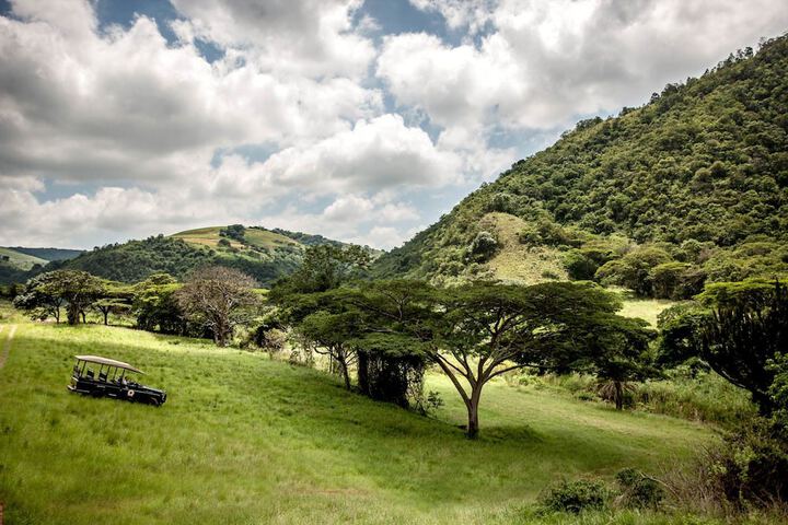 Game drive