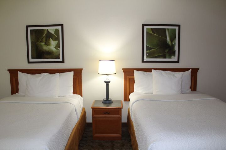 2 Double Beds (3 of 7)