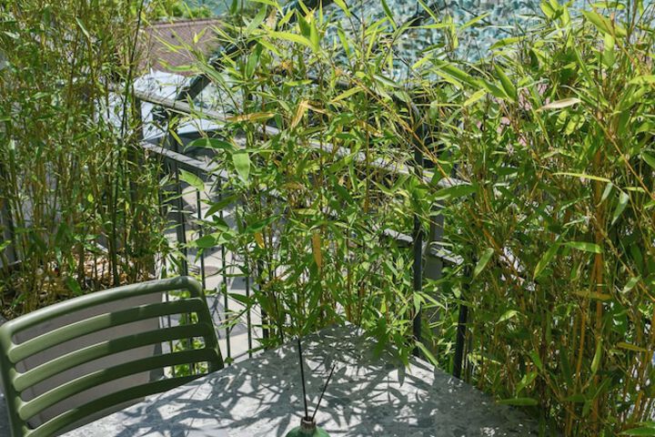 Terrace/Patio 60 of 101