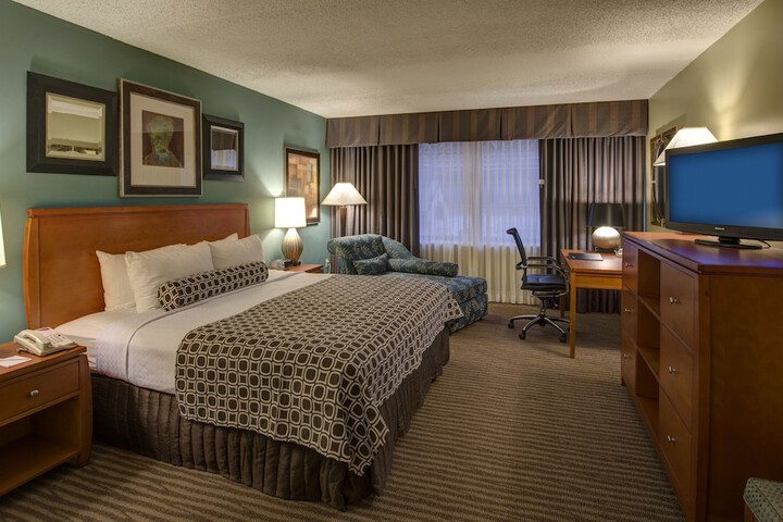 1 Bedroom Deluxe Suite Kingbed (1 of 12)