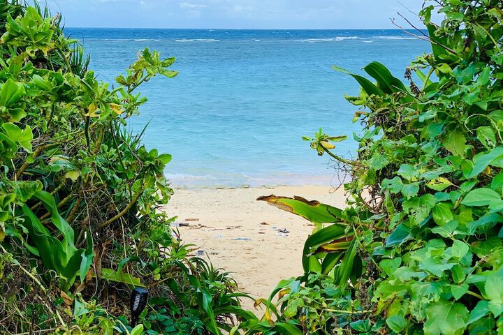 Beach 137 of 152