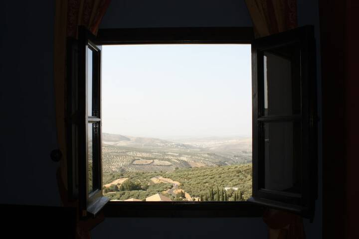 Room 3 of 39