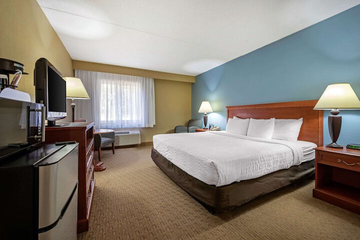 1 King Bed (32 of 50)
