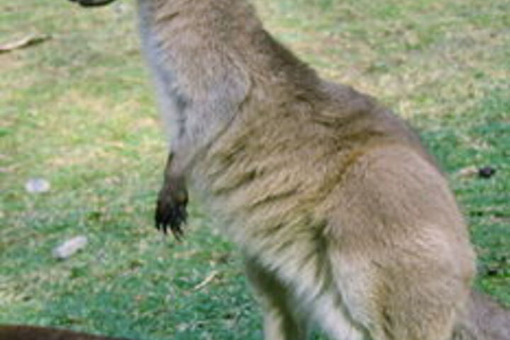 Childrens Activities 38 of 177