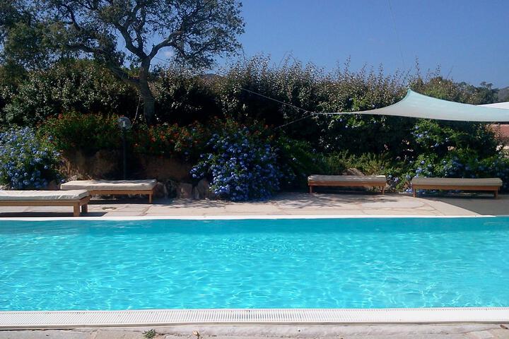 Pools & Facilities